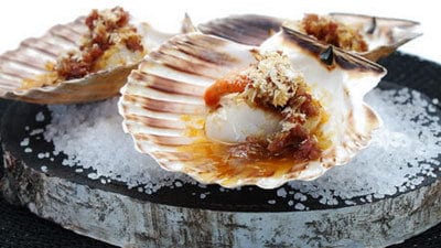 Coquilles in de schelp gebakken met ui, ham en witte wijn