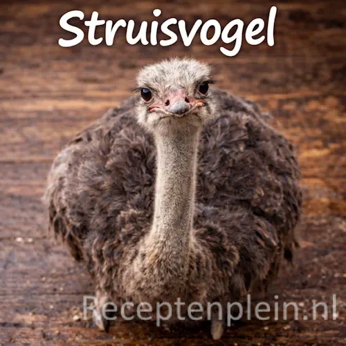 Struisvogel recepten met mals struisvogelvlees, groenten en kruiden op een rustieke houten tafel