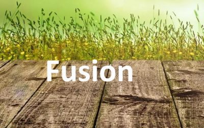 Fusion