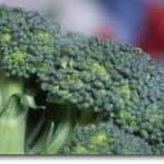 Lamsbout uit de oven met puree van broccoli