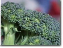 Lamsbout uit de oven met puree van broccoli