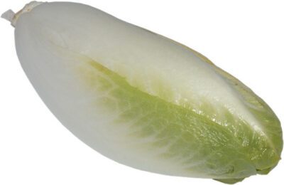 Witlofschotel met aardappelpuree