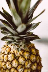 Gegrilde Ananas met Kaas en Kokos