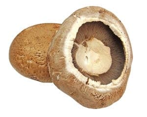 Portobello gevuld met pittig roerei en mihoen