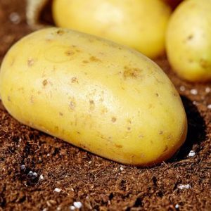 Aardappel amandelsoep