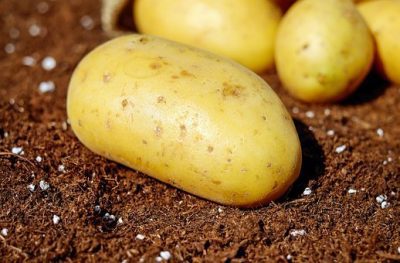 Aardappel amandelsoep