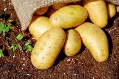 Aardappel ovenschotel met kabeljauw in folie