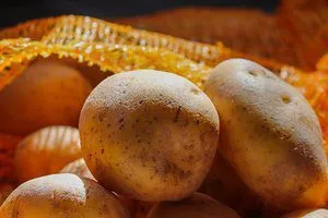 Aardappelen met ham in schelpen