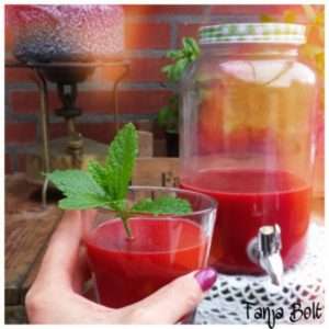 Slow Juice Rood 01