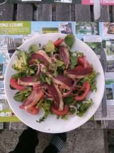 Salade met gerookte eendenborstfilet