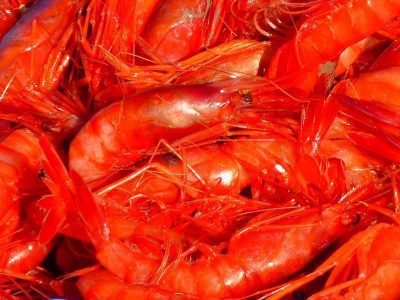 Scampi met paprika knoflooksaus