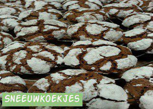 Sneeuwkoekjes