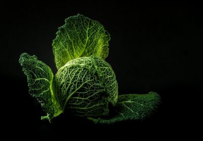 Gevulde groenekoolrolletjes op Marokaanse wijze
