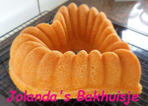 Vier vierde cake met de Nordic ware bakvorm